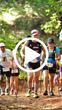 BIB:  <button type="button" onclick="openModal(27822276)" class="btn btn-primary btn-sm float-right" data-toggle="modal" data-target=".modal-high-quality">
                <i class="fa fa-download"></i> Download
                </button>